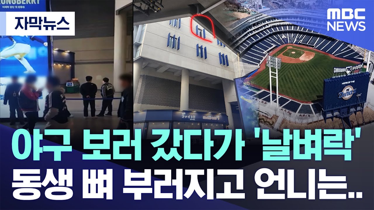 [자막뉴스] 야구 보러 갔다가 '날벼락', 동생 뼈 부러지고 언니는.. (2025.03.31/MBC뉴스)