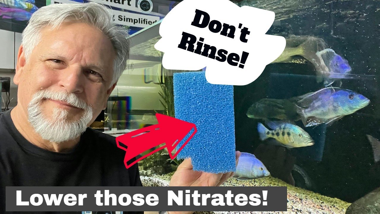 Before You Rinse that Sponge WATCH THIS!