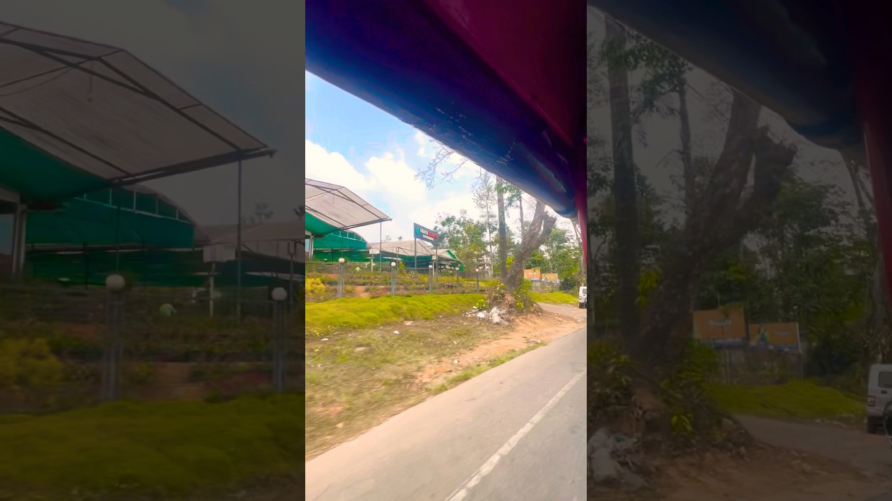 wayanad kerala #wayanad #kerala #trandingshorts #viralshorts #shorts