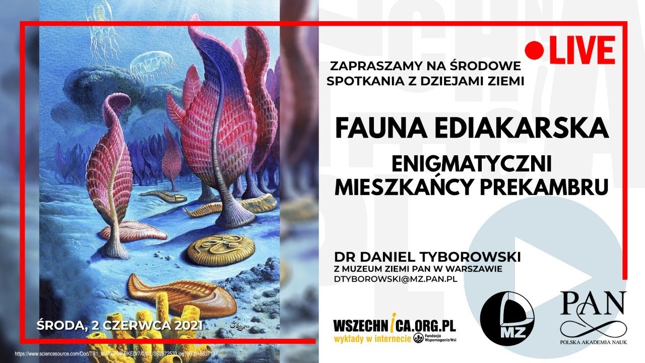 Fauna ediakarska – enigmatyczni mieszkańcy prekambru  / Dr Daniel Tyborowski