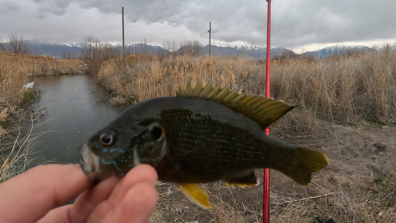 Secret creek fishing!!!
