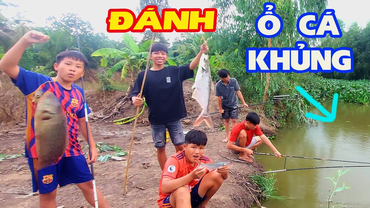 Phát Hiện Ổ Cá Tra Khủng - Mộng Phong Tìm Về Nồi Canh Chua ! | Anh Bảy Đúng TV