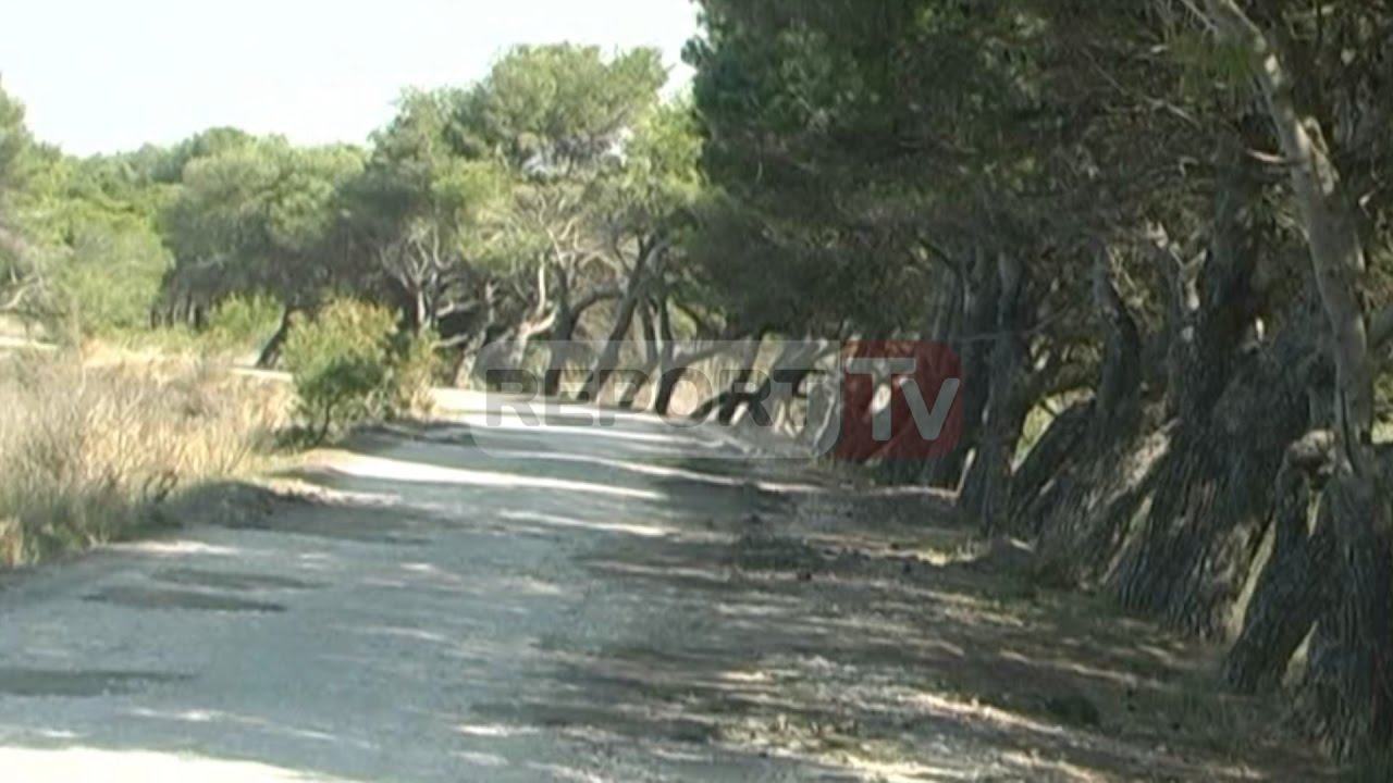 Report TV - Fier, rruga e plazhit të Semanit e dëmtuar,problem dhe papastërtia