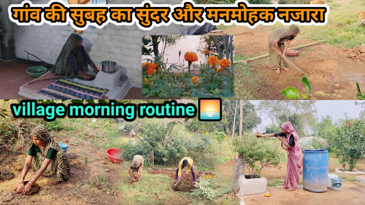 Village morning routine 🌅 गांव🌹की सुबह का सुंदर🌸और मनमोहक🪴नजारा#housewifevlog