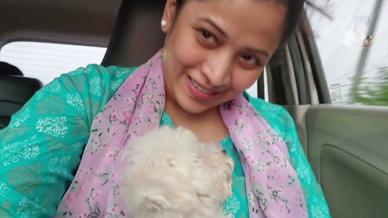 Problem of Feeding Cream & Booster || Vaccine || Hospital || Pets || Booster Prabhanjan