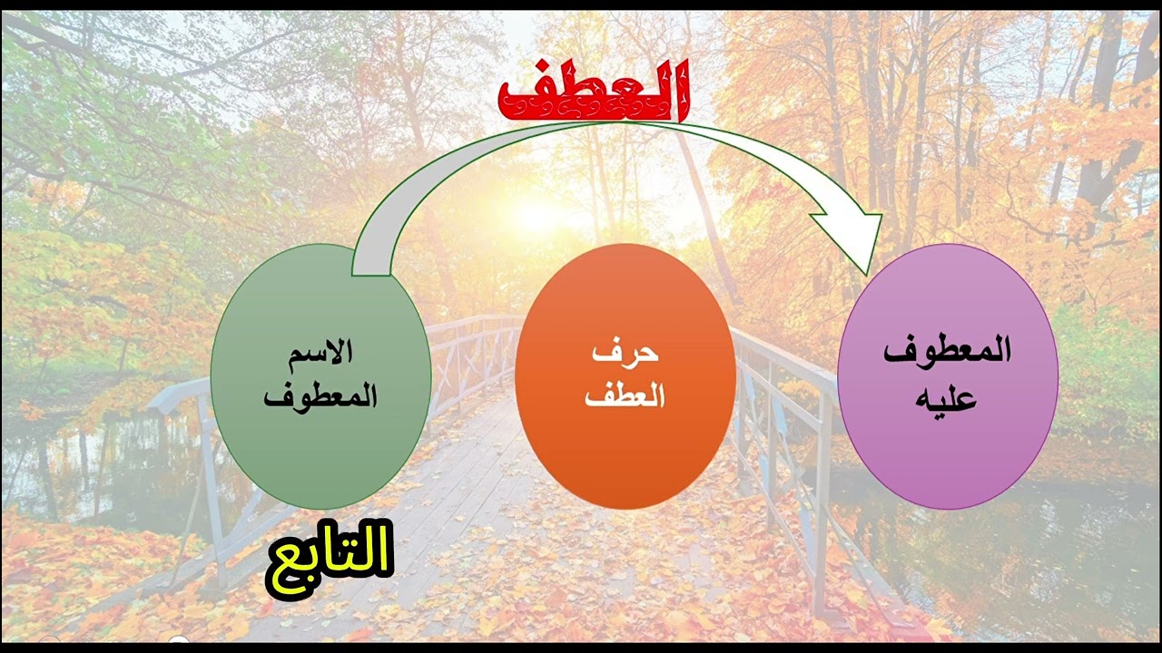 العطف في اللغة العربية 1