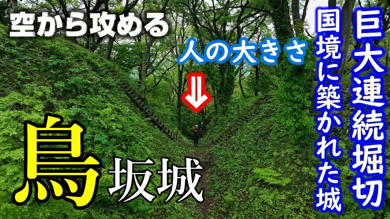 【妙高市の連続堀切】鳥坂城【空から攻める山城】ドローン空撮