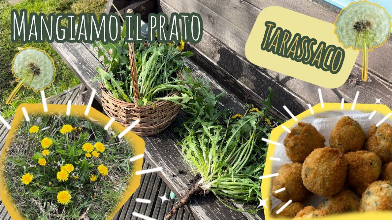 🌼VADO A RACCOGLIERE IL TARASSACO✨Ricetta Polpettone di Dente di Leone🦁🍀MANGIAMO IL PRATO