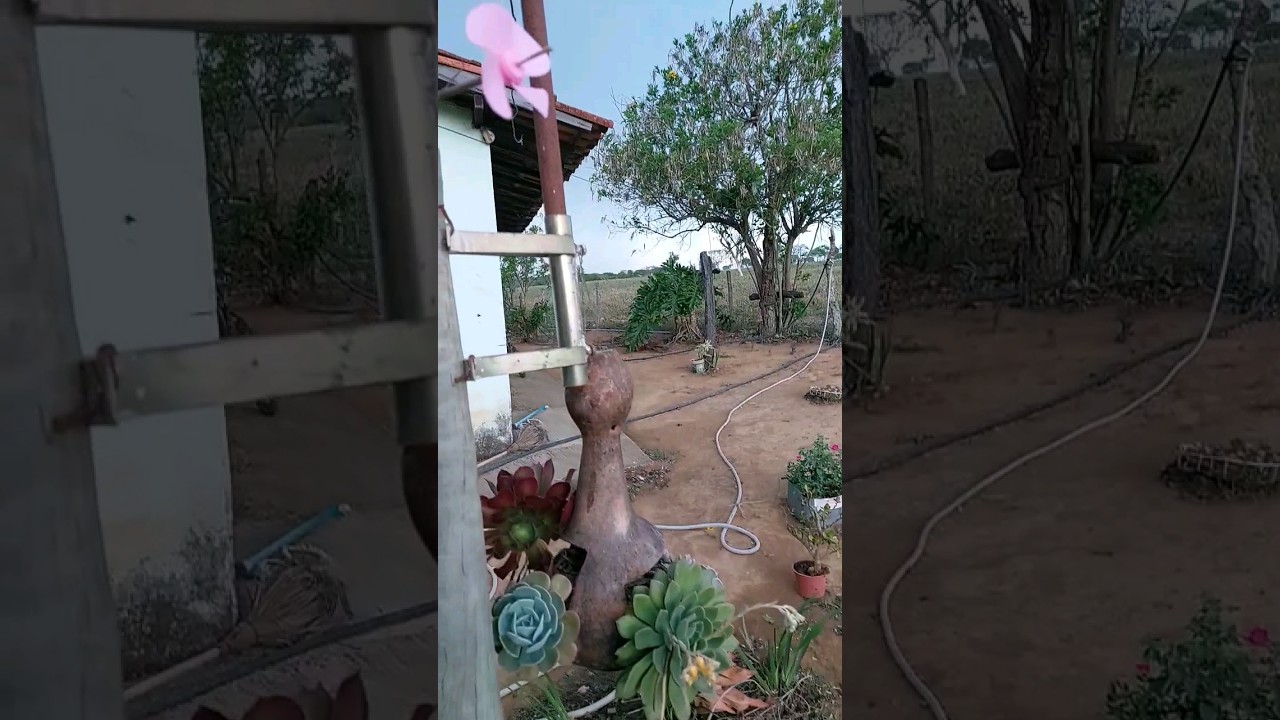 Cata vento n&atilde;o para!                   #ro&ccedil;a #catavento #ventania #tempestade #tarde #fazenda #life