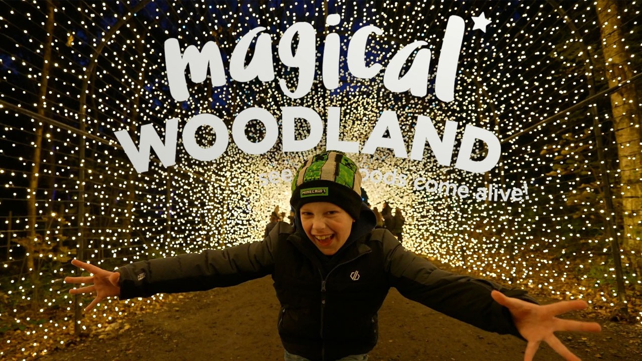 Magical Woodland Halloween Light Trail 2024 | Cheshire