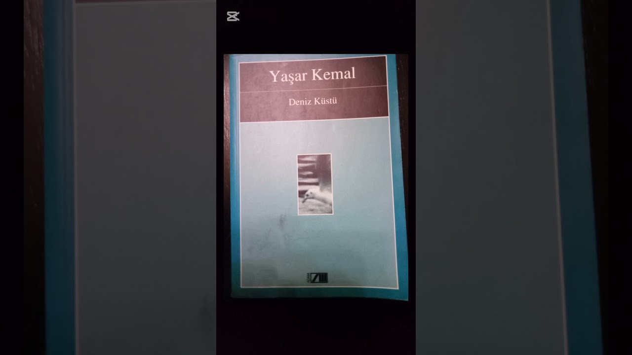 YAŞAR KEMAL- DENİZ KÜSTÜ- 28. BÖLÜM- TURGAY AKPINAR'IN SESİNDEN 