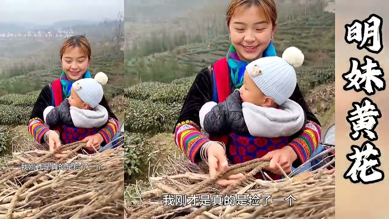 福鑫上茶山拍风景差点被茶农美女误会~！【探山记】#凉山#彝族姑娘#阿梅#王飞#小小#小鱼儿#章鱼哥#吉连#抖音