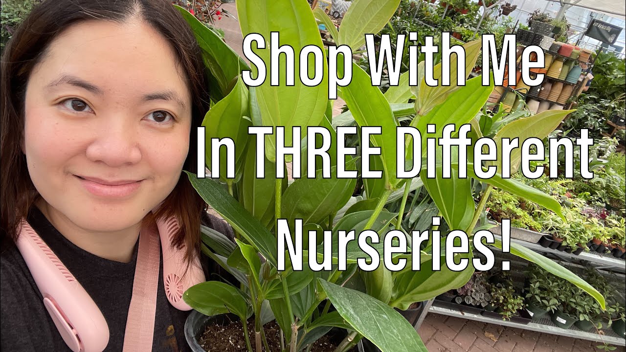 Houseplant Shop THREE Nurseries in Houston TX: Another Place In Time, Zone 9 Tropicals, Buchanan’s