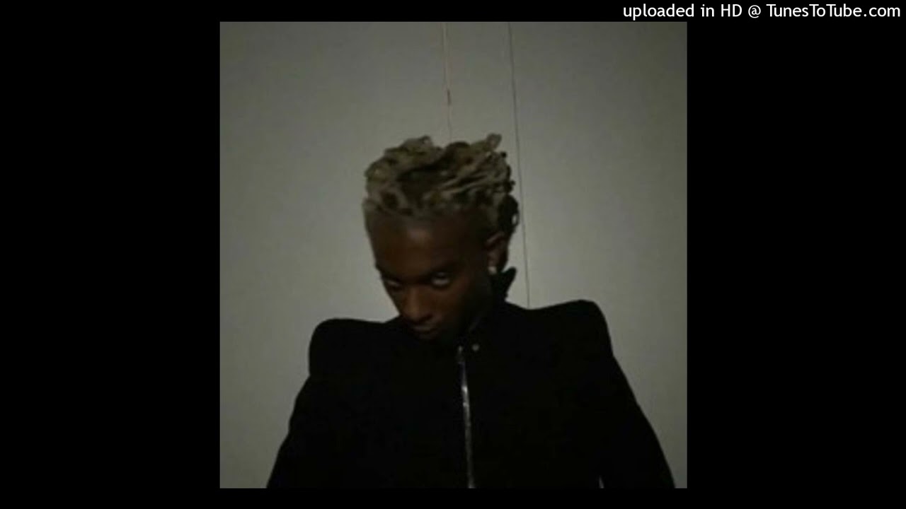 Playboi Carti x Richie Souf x WLR V2 Type Beat 