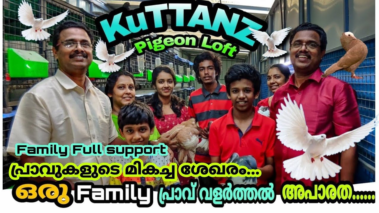 #Pigeon