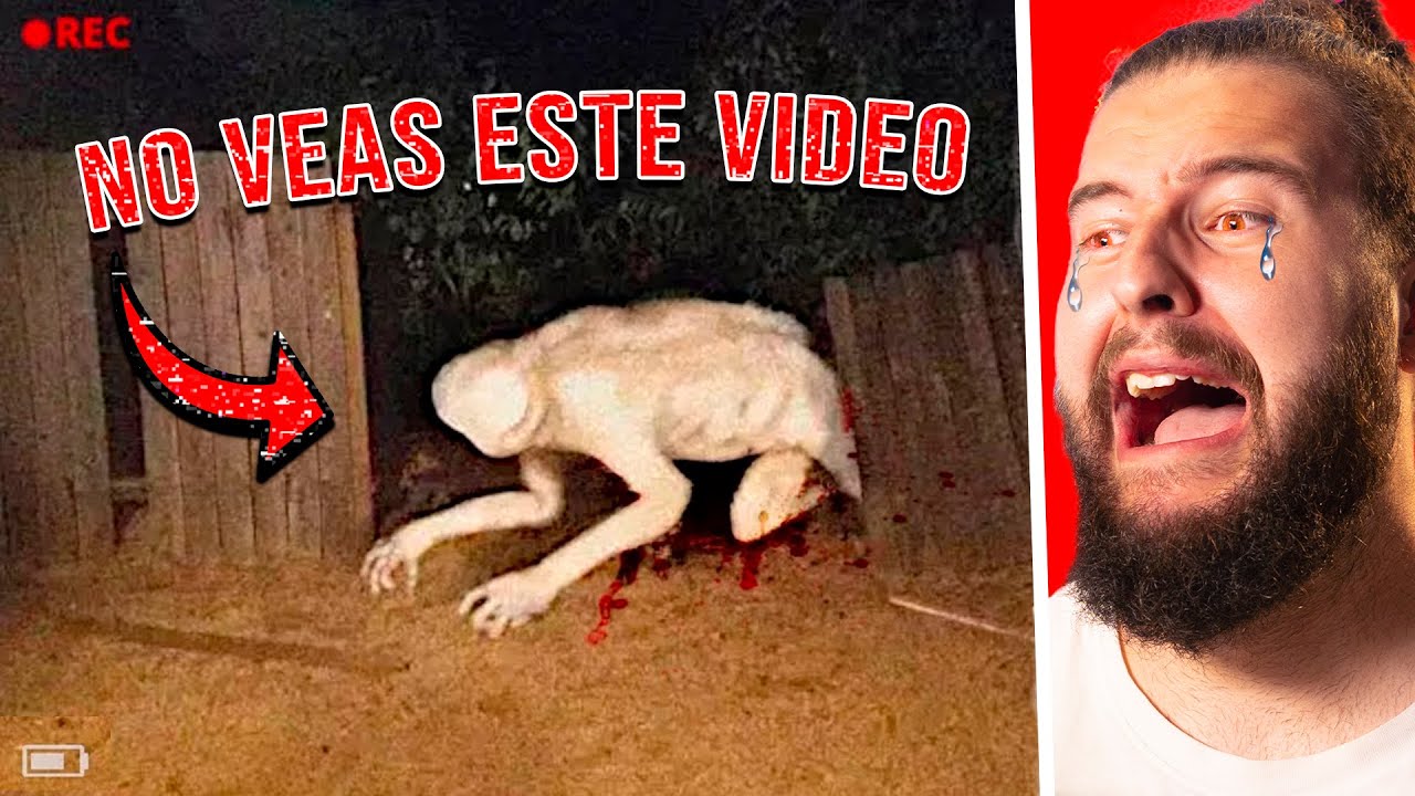 COSAS Que Los Humanos NUNCA DEBIERON VER  | TERROR REAL