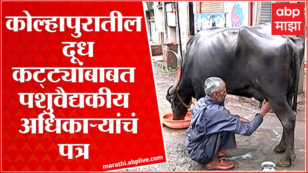 Kolhapur : कोल्हापुरातील दूध कट्ट्यांबाबत पशुवैद्यकीय अधिकाऱ्यांची काय सूचना?