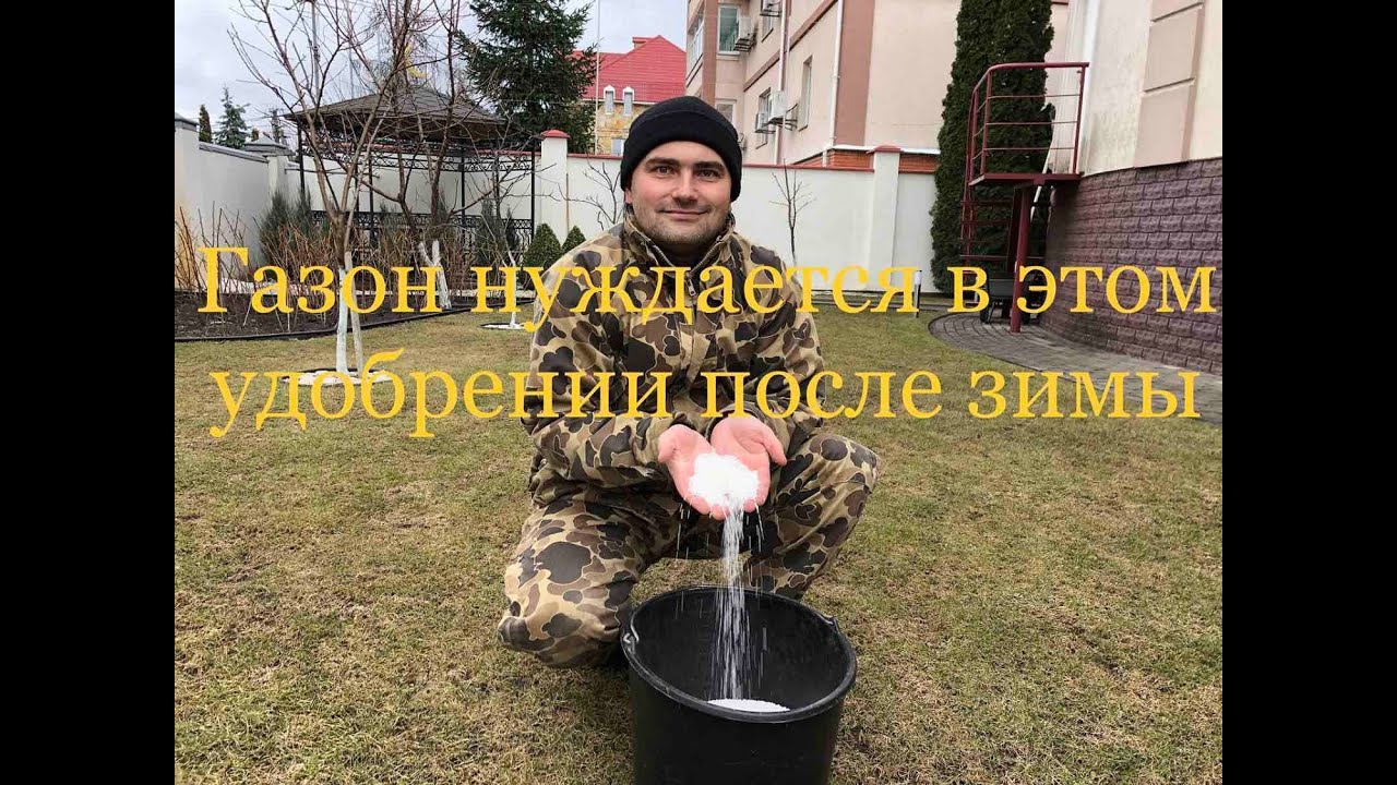 Чем подкормить газон ранней весной?