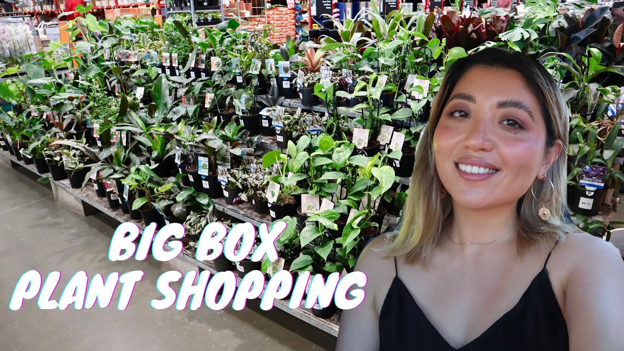 BUNNINGS BIG BOX PLANT SHOPPING | COME SHOP WITH ME