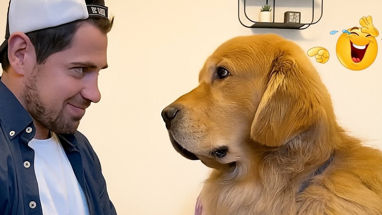 Hilarious Dogs That Will Make You Laugh Instantly 😂🐶 Funny Dog Video 2026