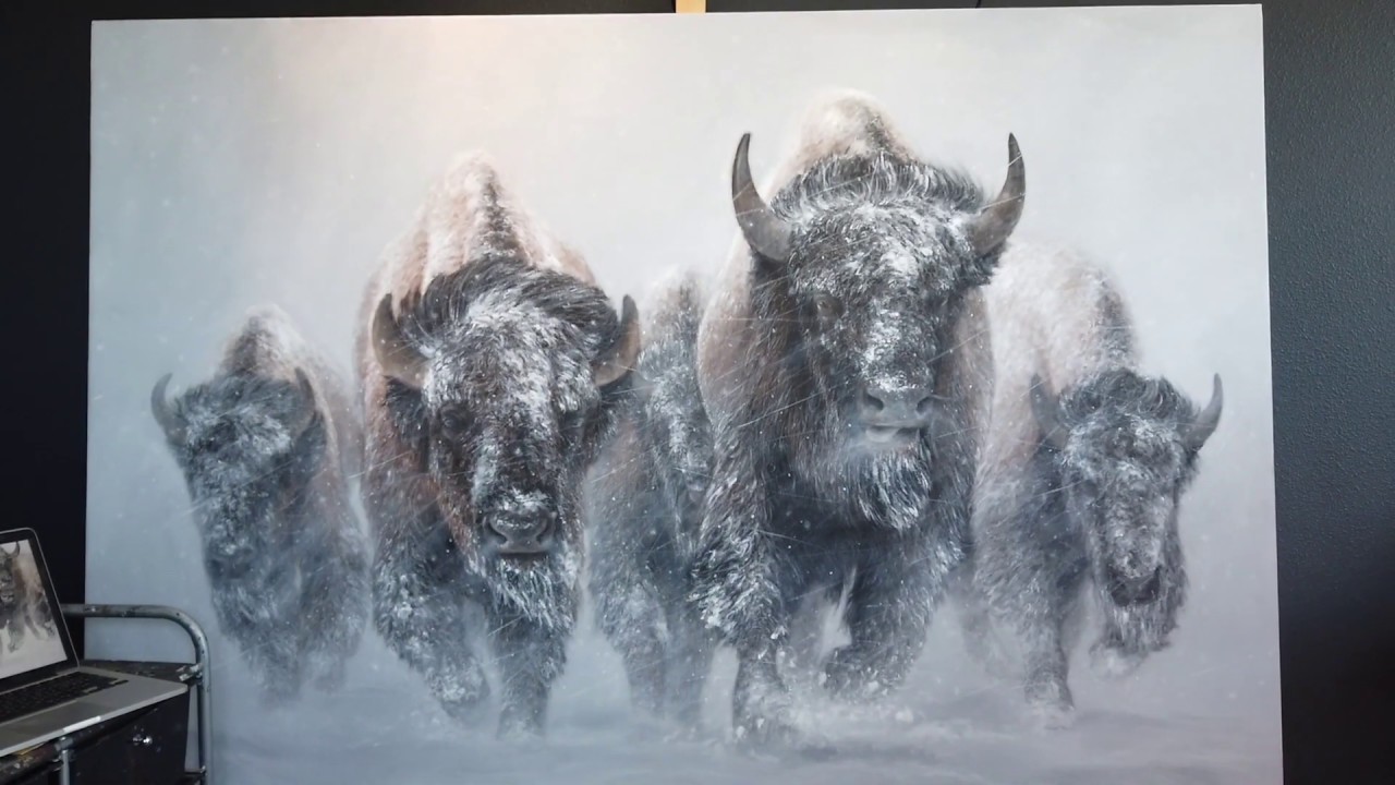 The Making of a HUGE Buffalo/Bison Painting