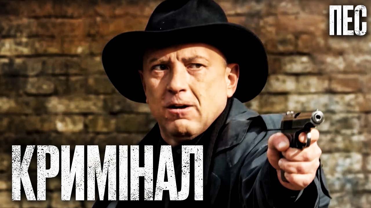 🎬 ЛУЧШИЙ КОА В ГОРОДЕ! Смешной ДЕТЕКТИВ 2024 - Сериал ПЕС 2024 - Лучшие серии