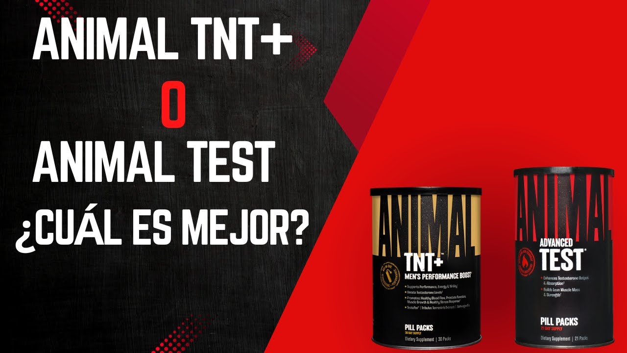 &iquest;Animal Test o TNT+? | Diferencias clave con Stak y M-Stak🔥