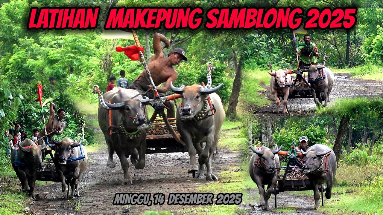 LATIHAN MAKEPUNG SAMBLONG, 14 DESEMBER 2025