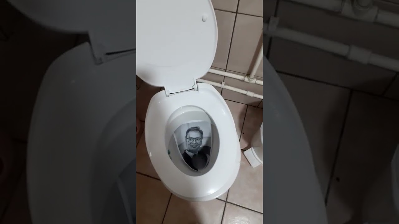 VUCIC IZASAO IZ WC SOLJE