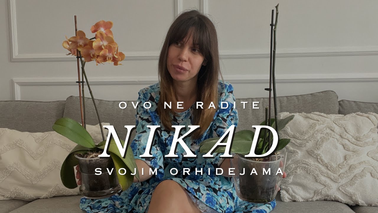 Orhideje - zalivanje - prihrana - presadjivanje - Mama 3 dece @UradiSamaMama
