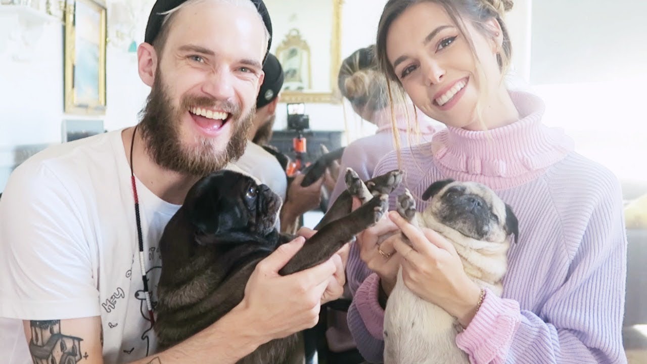 Testing our dogs intelligence. ( Deleted Marzia Video )
