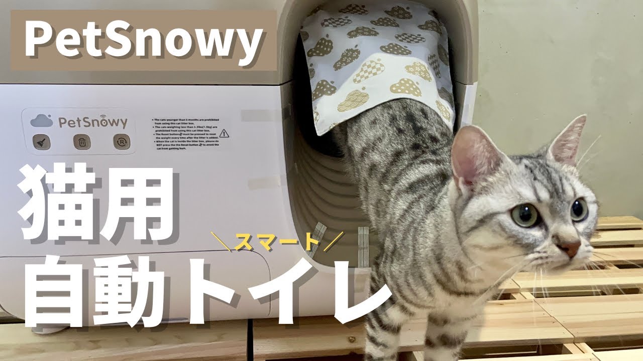 猫の健康管理ができる全自動スマート猫トイレを使ってみた【PetSnowy】