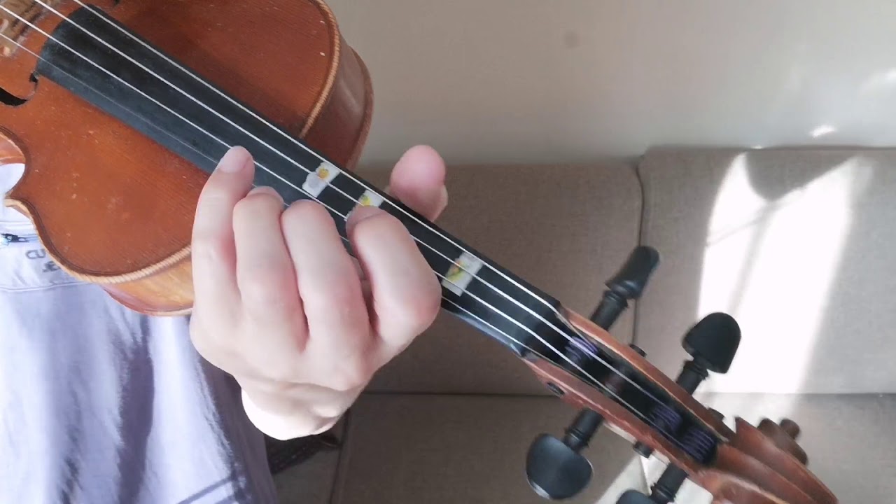 A New Tune A Day for Violin Book 1 Lesson 3  violin play along finghers