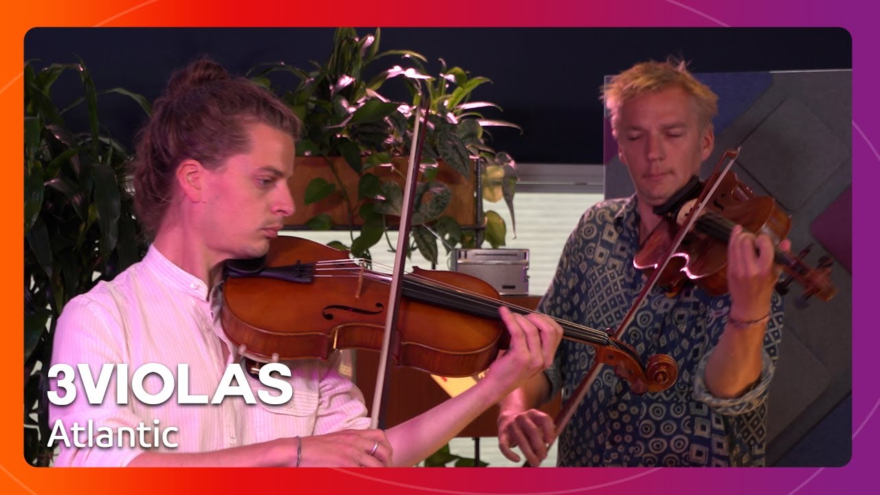 3VIOLAS speelt 