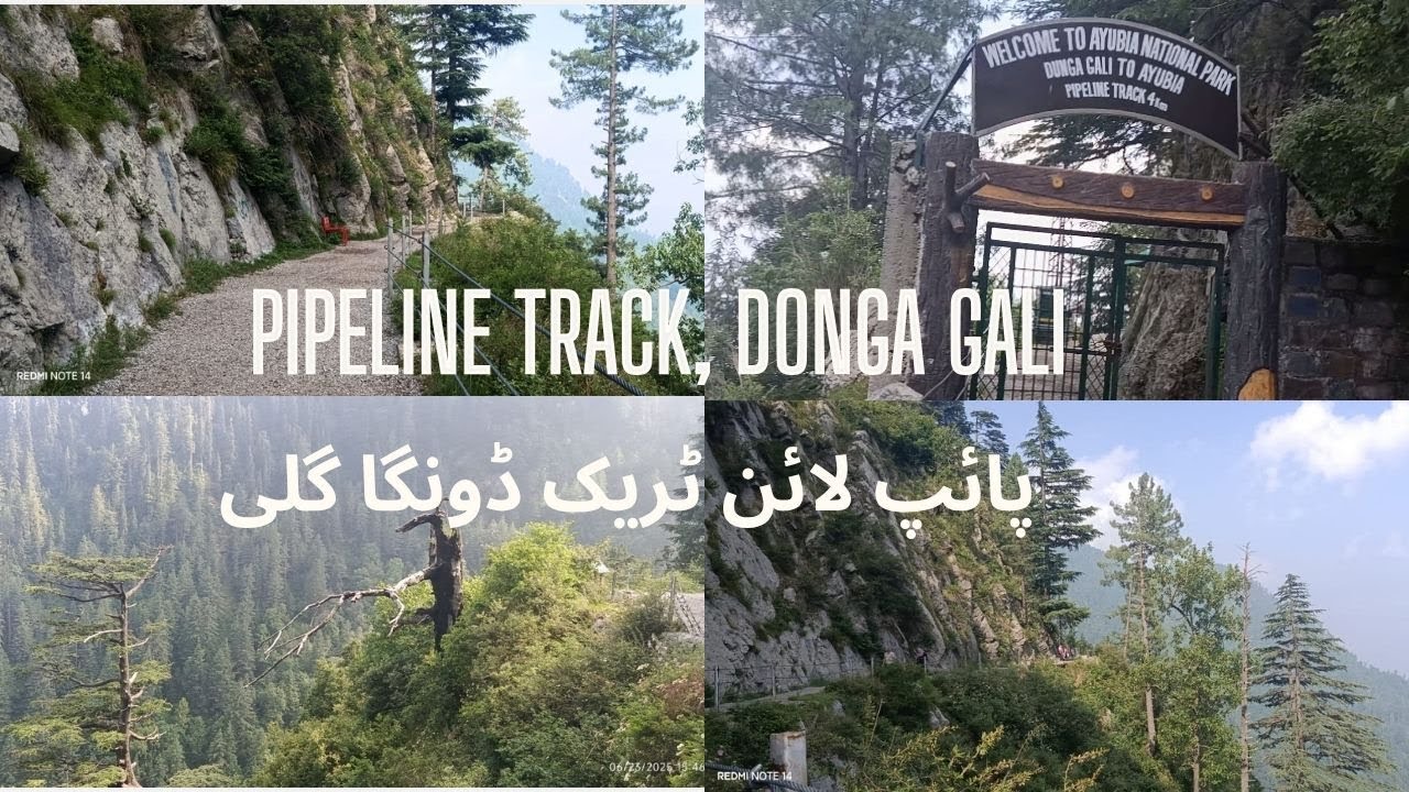 PILPELINE TRACK, DONGA GALI| PIPELINE TRACK DUNGA GALI |AYUBIA NATIONAL PARK| DONGA GALI TRACK