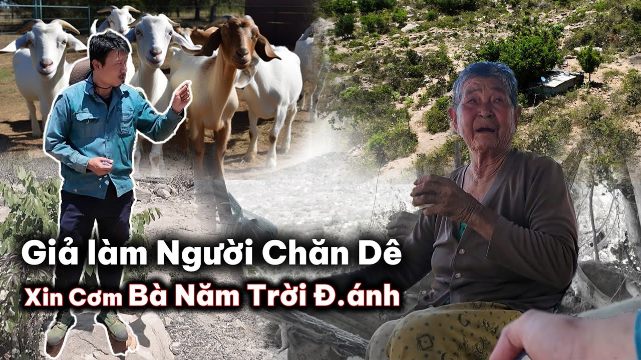 Giả Làm Người Chăn Dê Lên Núi Xin Cơm Bà Lão Trời Đánh Không C.hết Và Cái Kết