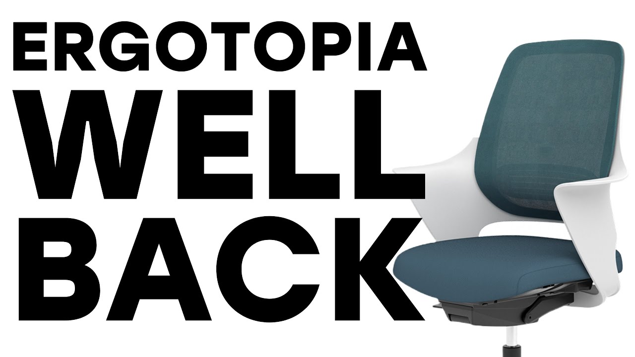 Ergotopia WellBack | Perfekter Stuhl zum Einsteigerpreis?