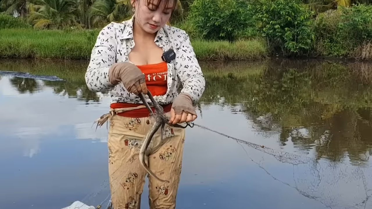 Giăng Lưới Bắt Cá Dính Con Rắn Nước Thả Về Rừng Quay Lại Cảm Ơn Mới Chịu Đi