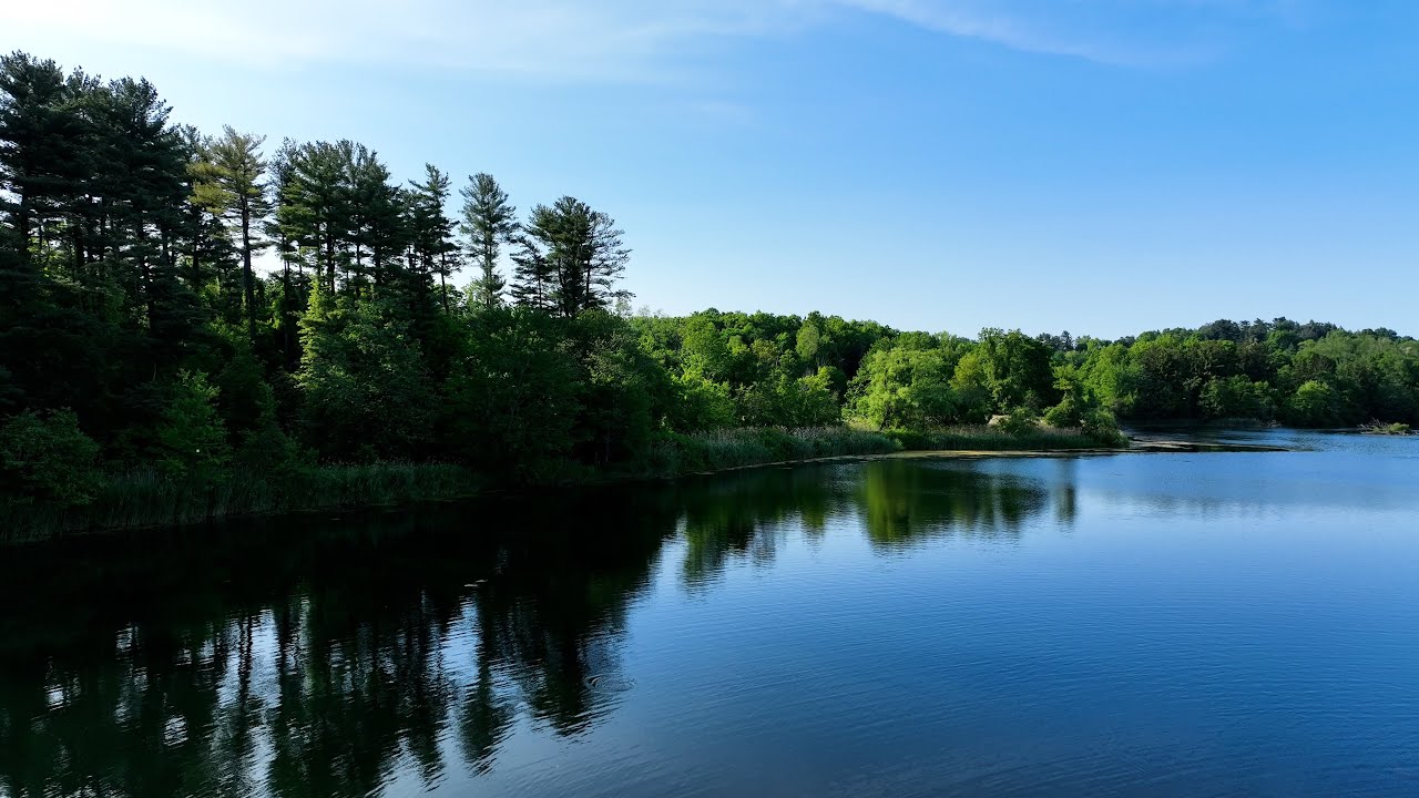 Afternoon Lake Trees Town Footage - Tarrytown, New York | Stock Footage [4K]