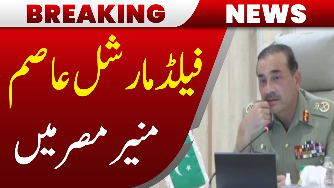 Army Chief Asim Munir on Key Visit to Egypt | Major Diplomatic Talks Begin