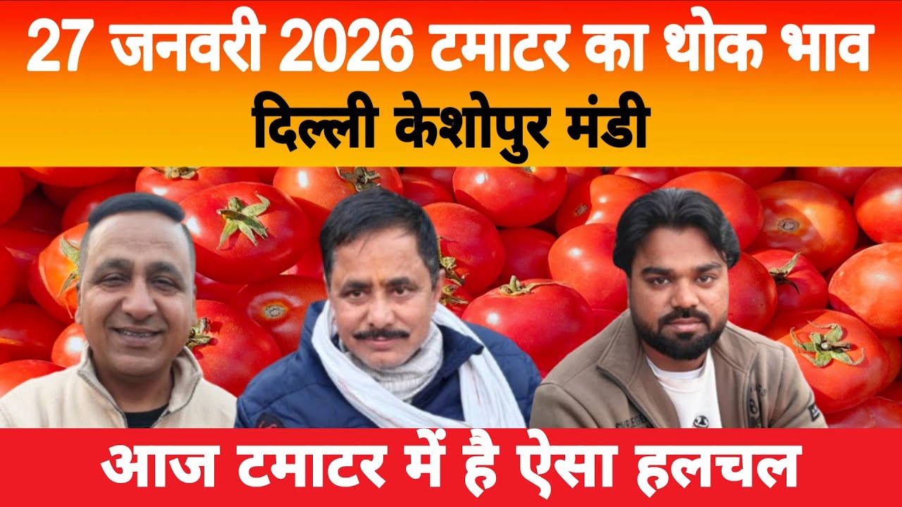 27 Jan 2026 Delhi 🍅 टमाटर होलसेल भाव | Keshopur Mandi | Today Tomato Rate #tamatar #tamatarmandi