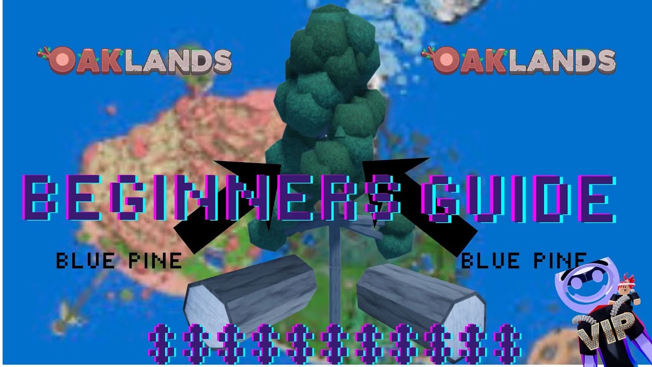 Beginners guide in Oaklands 