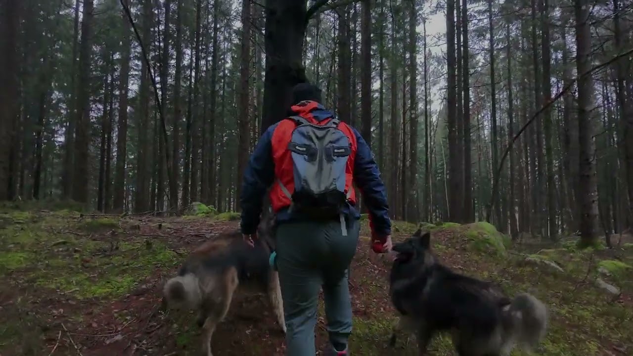 Min første tur med dronen DJI NEO