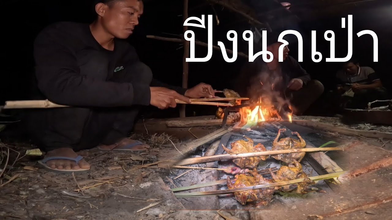เข้าป่า3นายพรานหากินปีงนกเป่าหอมๆ