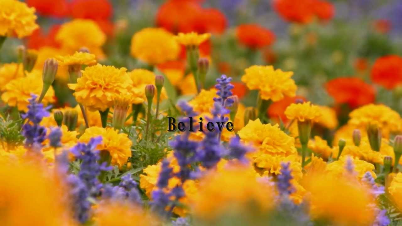 南里沙「Believe」クロマチックハーモニカ
