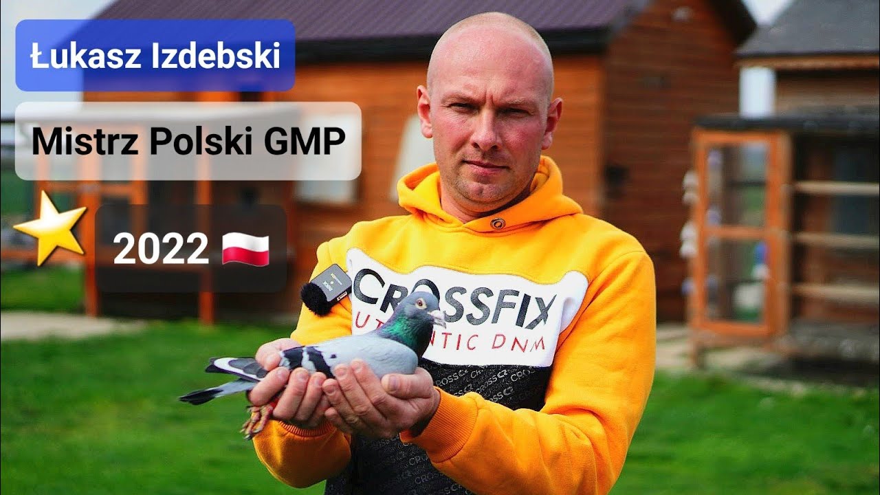 Łukasz Izdebski - PZHGP 0468 Łuków / Co obecnie słychać w hodowli Mistrza Polski ❓️🇵🇱💪🤩