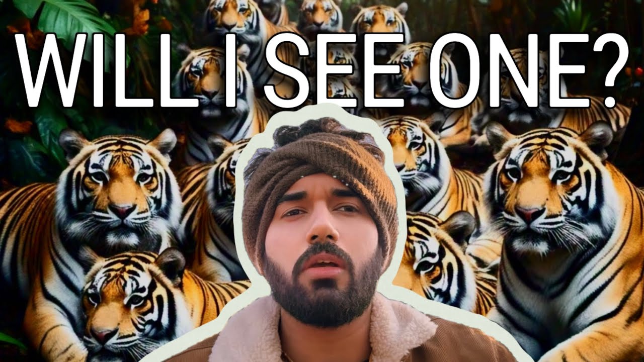 Finding Tigers in Ranthambore Safari