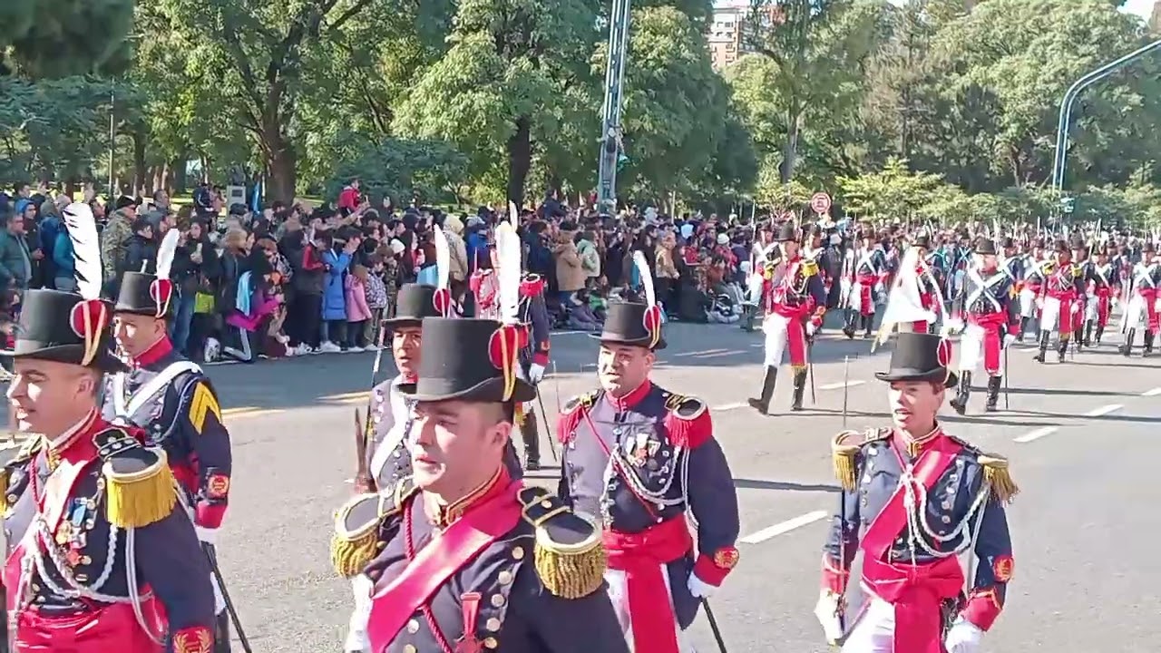 Desfile 9 de julio del ejército argentino regimiento Patricios.