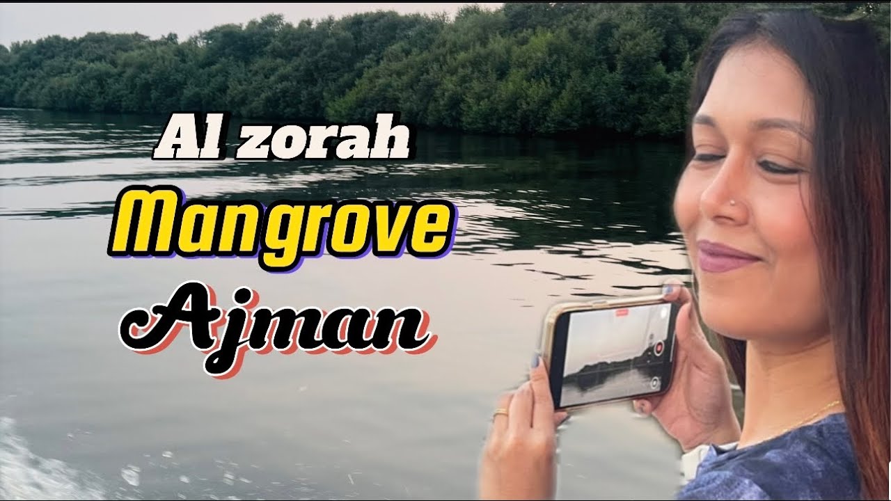 Al Zorah Mangrove / Ajman Abra / Ajman Boat service / Dubai Vlogger