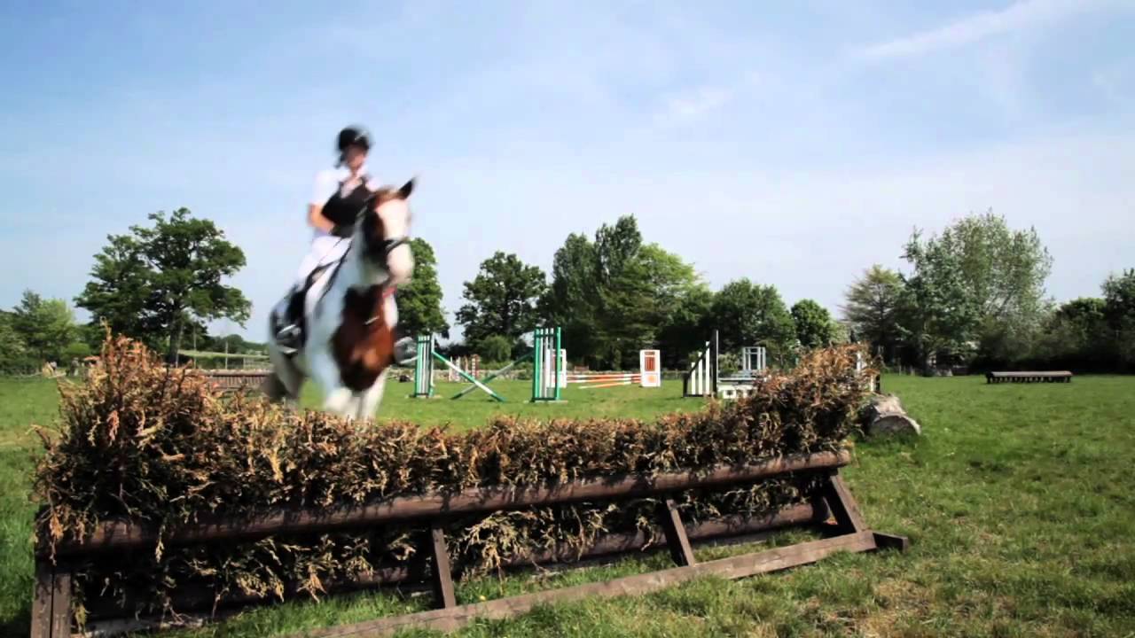 Merrist Wood College - Sports